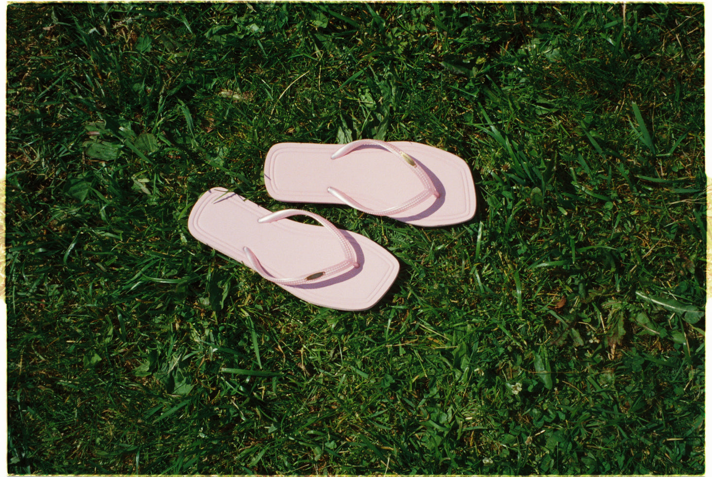 Pink Flip Flops
