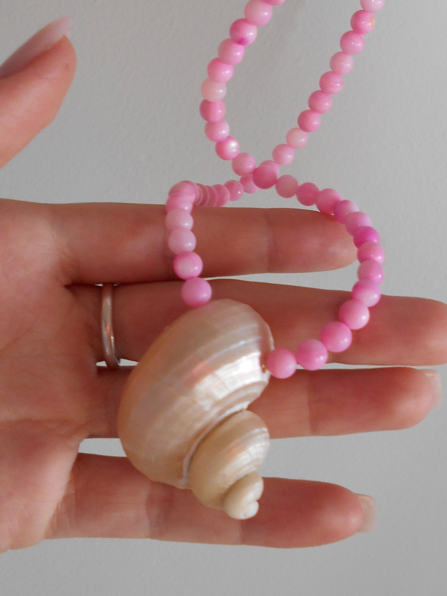 Shell Necklace